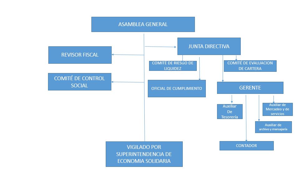 organigrama